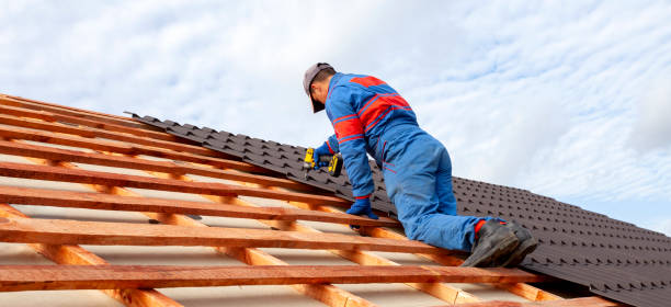 Best Asphalt Shingle Roofing  in Middletown, DE