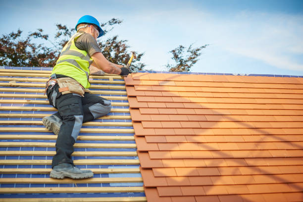 Best Metal Roofing Installation  in Middletown, DE